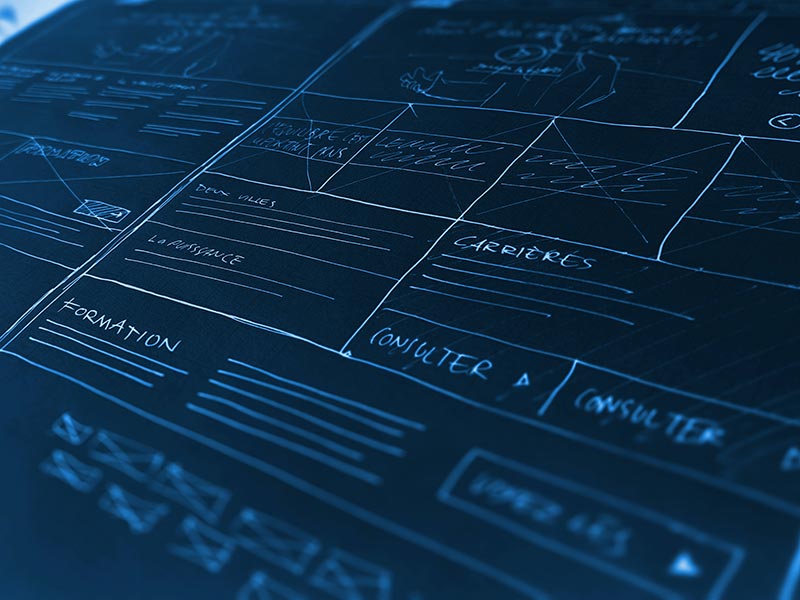 You are currently viewing Aliquam Vestibulum Morbi Blandit Cursus Risus